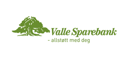 Valle Sparebank